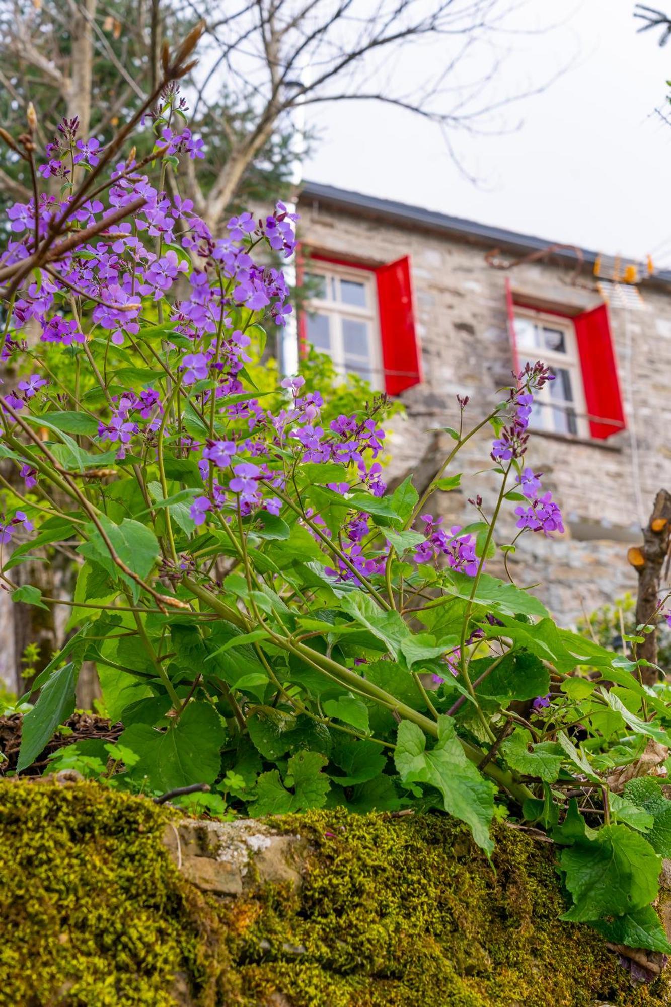 Shamrock Elati Retreats Hotel Exterior photo